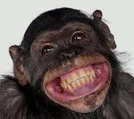 if winners are grinners... this is me tonight.