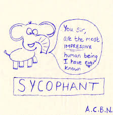 sycophant