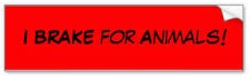 I Brake for animals